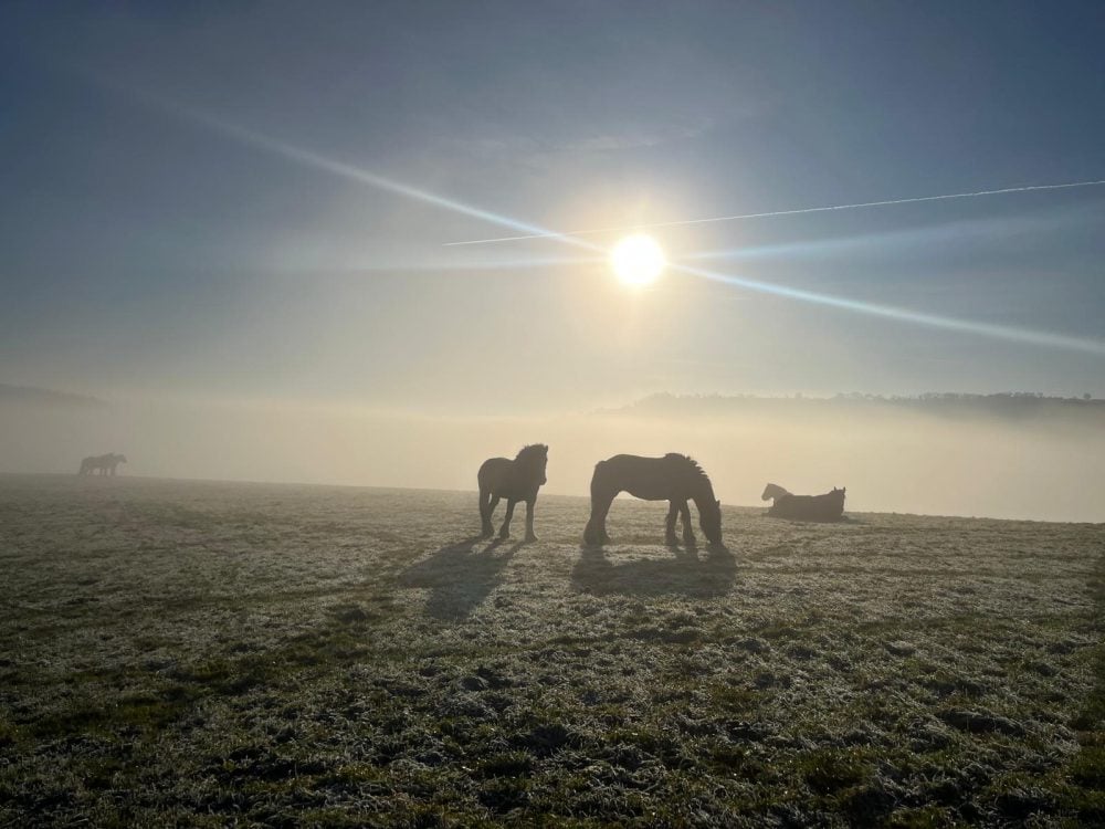 413bd569 9d1e 45f5 b579 d22aa497273d