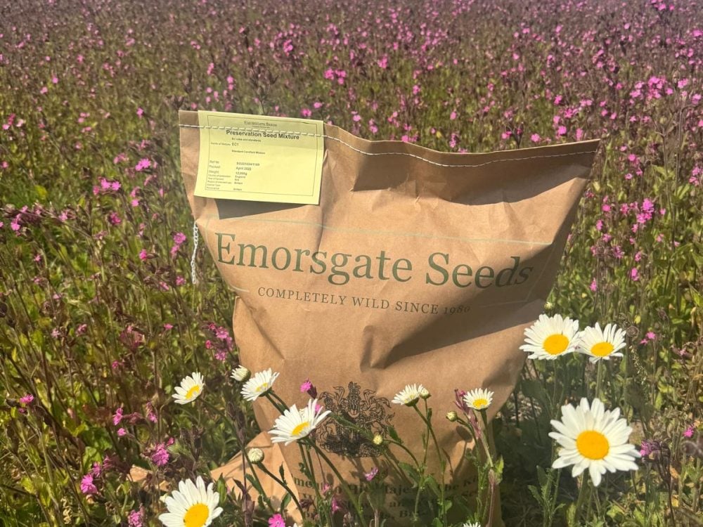 94800aad 6073 46cb a658 a9487dfaa941